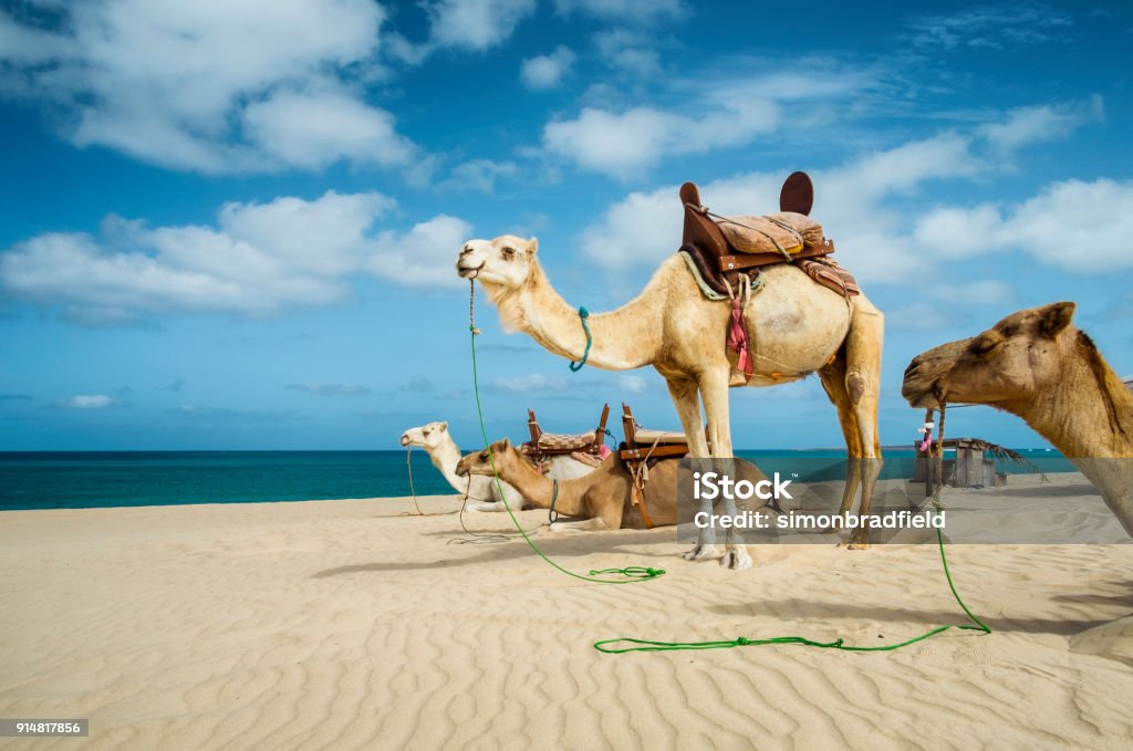 Cabo Verde regista “boom” no turismo em 2024 –&nbsp;ITCV